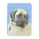 Search for mastiffs magnets Old english mastiff