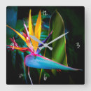 Search for tropical bird art Exotic