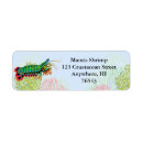Search for mantis shrimp Aquarium