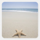 Search for atlantic stickers Nature