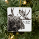 Search for moose ornaments Grand teton
