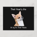 Search for chiwawa postcards Cute