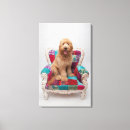 Search for goldendoodle art Colourful