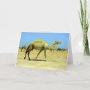 Recherche de moyen orient vœux cartes Nature