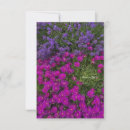 Search for pink icing note cards Flowers