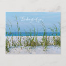 Recherche de avoine cartes postales Floride