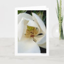 Search for swirled cards Photography