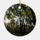 Search for shenandoah national park ornaments Nature