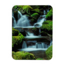 Recherche de duc magnets Environnement