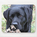 Search for black lab mousepads Black labrador retriever