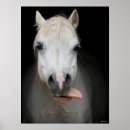 Search for welsh pony art Breed