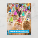 Recherche de chats drôles invitations Presse avanti