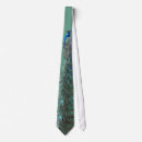 Search for peafowl feather accessories Green
