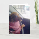 Recherche de doxie vœux cartes Salutation