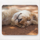 Recherche de somnolent électronique Animaux