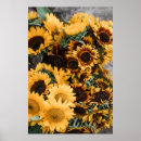 Recherche de tournesols vintages posters Antique