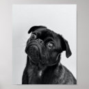 Search for adult posters Black