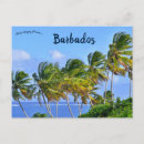 Search for sway postcards Tropical