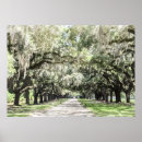 Search for plantation posters South carolina