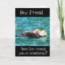 Search for funny otter birthday cards Friend