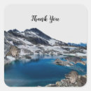 Recherche de raccoon autocollants Photographie de la faune