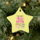 Search for baby second christmas Big sister