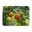 Recherche de gardens magnete Mother