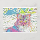 Recherche de joli autres Chat