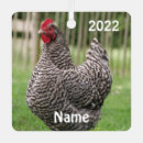 Recherche de poulet ornements Grange