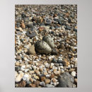 Recherche de gravier posters Route de gravier