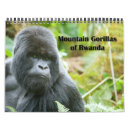 Search for gorilla calendars Rwanda