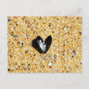 Recherche de coquille de plage posters Romantique