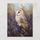 Recherche de conception de hibou cartes postales Chouette