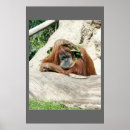 Search for dealing art Animal