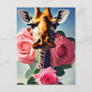 Search for funny giraffes postcards Zoo animals