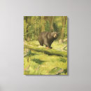Search for bears canvas prints Nature