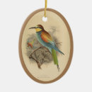 Search for european ornaments Bird