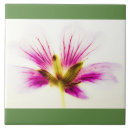Search for patio coasters Nature