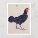 Recherche de poulet vintage cartes postales Oiseau