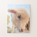 Recherche de agneau puzzles Ferme