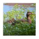 Search for duck and duckling tiles Ducks