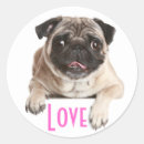 Search for pug dog stickers Pugs