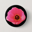 Search for tulip photos buttons Floral