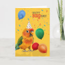 Search for conurs postcards Conures
