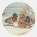 Search for bird watching stickers Animals