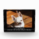 Search for chihuahua gifts Cute