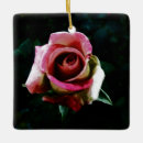 Search for roses ornaments Flowers