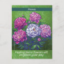 Search for brighten your day postcards Floral