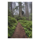 Search for lush posters Park