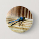 Recherche de libellule badges Animaux